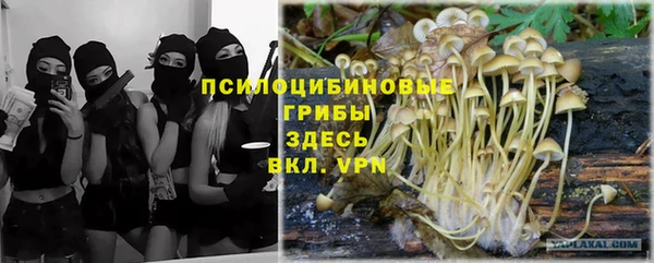 MESCALINE Баксан